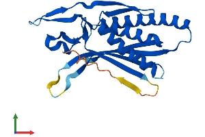 Protein Structure (PS) image for Chromosome 12 Open Reading Frame 44 (C12orf44) (AA 1-218) protein (His tag) (ABIN7561148)