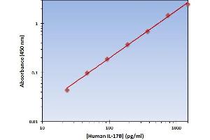 Interleukin 17B (IL17B) ELISA Kit