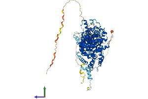 Protein Structure (PS) image for Striatin Interacting Protein 1 (STRIP1) (AA 1-837) protein (His tag) (ABIN7559064)