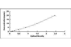 Typical standard curve (TNFRSF8 ELISA 试剂盒)