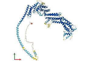 Protein Structure (PS) image for RAD50 Interactor 1 (RINT1) (AA 1-792) protein (His tag) (ABIN7564472)