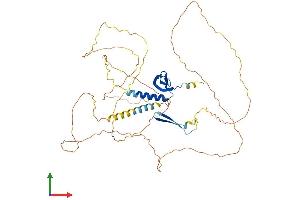 Protein Structure (PS) image for Chromobox Homolog 2 (CBX2) (AA 1-519) protein (His tag) (ABIN7563093)