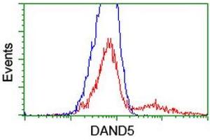 HEK293T cells transfected with either RC221703 overexpress plasmid (Red) or empty vector control plasmid (Blue) were immunostained by anti-DAND5 antibody (ABIN2455031), and then analyzed by flow cytometry. (DAND5 抗体  (AA 23-189))