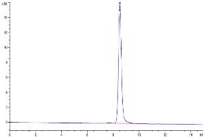 Size-exclusion chromatography-High Pressure Liquid Chromatography (SEC-HPLC) image for alpha-Fetoprotein (AFP) (AA 19-609) protein (His tag) (ABIN7273808)