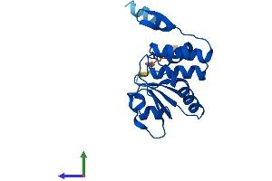 Protein Structure (PS) image for Dual Specificity Phosphatase 21 (DUSP21) (AA 1-190) protein (His tag) (ABIN7547196)