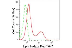 Flow cytometric analysis of Lipin 1 expression in HepG2 cells using Lipin 1 antibody (ABIN7799276), 1:2,000). (Recombinant Lipin 1 抗体)