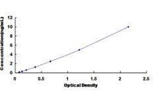 Coagulation Factor XI (F11) ELISA Kit