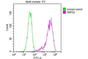 Overlay histogram showing MCF-7 cells stained with ABIN7154883 (red line). (Hsc70 抗体  (AA 2-646))