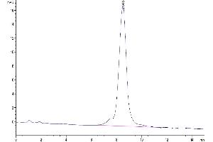 Size-exclusion chromatography-High Pressure Liquid Chromatography (SEC-HPLC) image for Chondroitin Sulfate Proteoglycan 5 (Neuroglycan C) (CSPG5) (AA 31-423) protein (His tag) (ABIN7275646)