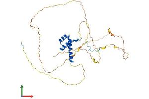AlphaFold protein structure predicition of Mouse Recombinant Hoxa1 Protein, UniprotID P09022