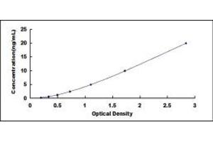 Typical standard curve (TNFSF13 ELISA 试剂盒)