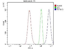 Flow Cytometry analysis of A549 cells using anti-Transketolase/TKT antibody (ABIN7598957).