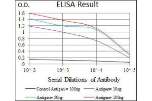 ELISA image for anti-Chromosome 17 Open Reading Frame 53 (C17ORF53) (AA 282-527) antibody (ABIN1842990) (C17orf53 抗体  (AA 282-527))