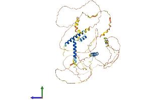 AlphaFold protein structure predicition of Mouse Recombinant Slain2 Protein, UniprotID Q8CI08