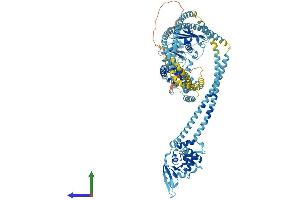 AlphaFold protein structure predicition of Mouse Recombinant Smc5 Protein, UniprotID Q8CG46