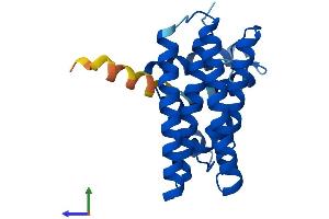 Protein Structure (PS) image for Programmed Cell Death 10 (PDCD10) (AA 1-212) protein (His tag) (ABIN7550669)