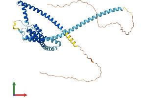 Protein Structure (PS) image for Potassium Channel, Subfamily K, Member 2 (KCNK2) (AA 1-426) protein (His tag) (ABIN7563550)