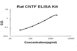 Rat CNTF Accusignal ELISA Kit Rat CNTF AccuSignal Elisa Kit standard curve. (CNTF ELISA 试剂盒)