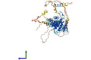 AlphaFold protein structure predicition of Human Recombinant TMEM209 Protein, UniprotID Q96SK2 (TMEM209 Protein (AA 1-561) (His tag))