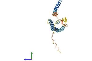 Protein Structure (PS) image for Transmembrane Protein 98 (TMEM98) (AA 1-226) protein (His tag) (ABIN7560075)