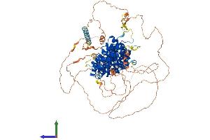 Protein Structure (PS) image for Armadillo Repeat Gene Deleted in Velocardiofacial Syndrome (ARVCF) (AA 1-962) protein (His tag) (ABIN7552426)