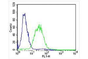 Overlay histogram showing ZF4 cells stained with (ABIN6242156 and ABIN6578282) (green line). (Adenylate Kinase 2 抗体  (AA 147-183))