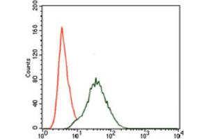 Immunohistochemistry (IHC) image for anti-Phosphoinositide 3 Kinase, p85 alpha (PI3K p85a) (AA 159-388) antibody (ABIN1844692)