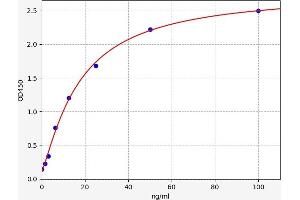 Typical standard curve (PDGF-AB Heterodimer ELISA 试剂盒)