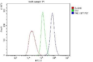 Flow Cytometry analysis of Ana-1 cells using anti-FHL antibody (ABIN7599209).