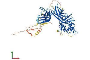 Protein Structure (PS) image for Recombination Signal Binding Protein For Immunoglobulin kappa J Region-Like (RBPJL) (AA 1-515) protein (His tag) (ABIN7562189)