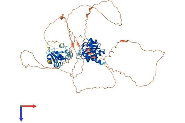 DUSP8 Protein (AA 1-663) (His tag)
