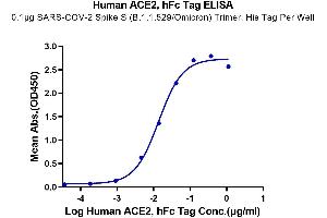 ELISA image for Angiotensin I Converting Enzyme 2 (ACE2) (AA 18-740) protein (Fc Tag) (ABIN7273792)