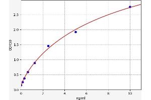 Prolylcarboxypeptidase (PRCP) ELISA Kit