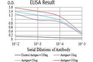 Black line: Control Antigen (100 ng),Purple line: Antigen (10 ng), Blue line: Antigen (50 ng), Red line:Antigen (100 ng) (CHRNA10 抗体  (AA 25-237))