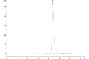 Size-exclusion chromatography-High Pressure Liquid Chromatography (SEC-HPLC) image for Cytokine Receptor-Like Factor 2 (CRLF2) (AA 23-231) protein (His tag) (ABIN7275801)