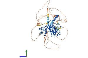 Protein Structure (PS) image for Tumor Protein P63 (TP63) (AA 1-680) protein (His tag) (ABIN7554832)
