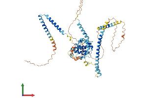 Protein Structure (PS) image for Coiled-Coil Domain Containing 60 (CCDC60) (AA 1-545) protein (His tag) (ABIN7559136)