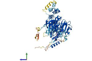 AlphaFold protein structure predicition of Human Recombinant KBTBD2 Protein, UniprotID Q8IY47