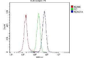 7. (HLA-DRA 抗体  (AA 26-254))