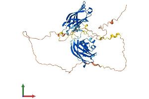 Protein Structure (PS) image for Synaptotagmin XVII (SYT17) (AA 1-470) protein (His tag) (ABIN7560180)