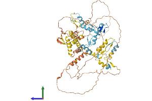 Protein Structure (PS) image for Zinc Finger and BTB Domain Containing 16 (ZBTB16) (AA 1-673) protein (His tag) (ABIN7545225)