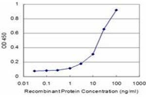 Detection limit for recombinant GST tagged CSF1 is approximately 3ng/ml as a capture antibody. (M-CSF/CSF1 抗体  (AA 33-132))