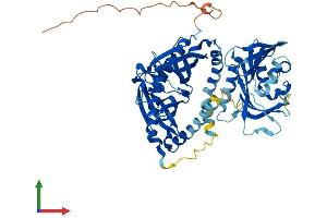 AlphaFold protein structure predicition of Mouse Recombinant Acot11 Protein, UniprotID Q8VHQ9
