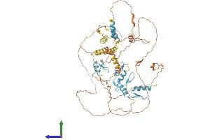 AlphaFold protein structure predicition of Human Recombinant HIC2 Protein, UniprotID Q96JB3