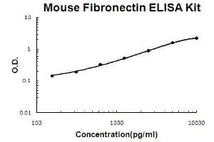 Fibronectin 1 ELISA 试剂盒