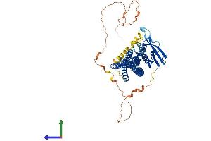 Protein Structure (PS) image for Sorting Nexin 1 (SNX1) (AA 1-522) protein (His tag) (ABIN7565232)