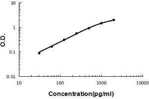 anti-Basigin (Ok Blood Group) (BSG) (AA 138-323) antibody