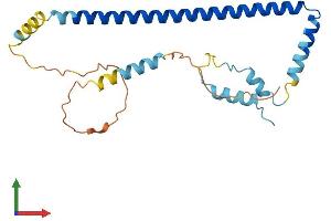 Protein Structure (PS) image for Clathrin, Light Chain B (CLTB) (AA 1-229) protein (His tag) (ABIN7553445)