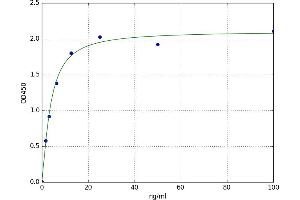 A typical standard curve (CYP2A6 ELISA 试剂盒)