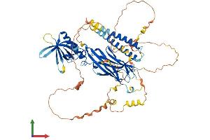 AlphaFold protein structure predicition of Mouse Recombinant Rtkn2 Protein, UniprotID Q14B46